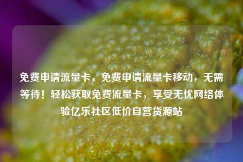 免费申请流量卡，免费申请流量卡移动	，无需等待！轻松获取免费流量卡，享受无忧网络体验亿乐社区低价自营货源站  第1张