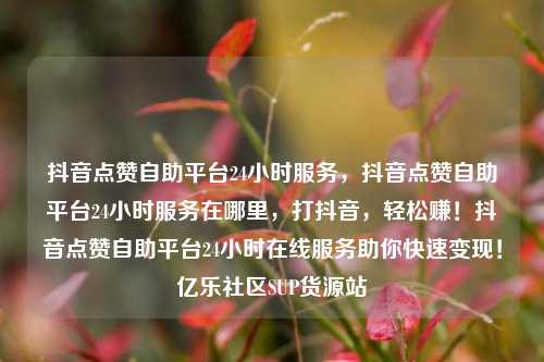 抖音点赞自助平台24小时服务，抖音点赞自助平台24小时服务在哪里	，打抖音，轻松赚！抖音点赞自助平台24小时在线服务助你快速变现！亿乐社区SUP货源站  第1张