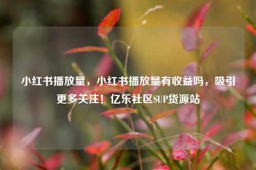 小红书播放量，小红书播放量有收益吗	，吸引更多关注！亿乐社区SUP货源站  第1张