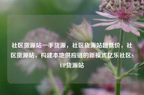 社区货源站一手货源	，社区货源站超低价，社区货源站，构建本地供应链的新模式亿乐社区SUP货源站  第1张