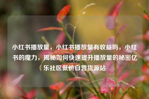 小红书播放量，小红书播放量有收益吗，小红书的魔力	，揭秘如何快速提升播放量的秘密亿乐社区低价自营货源站  第1张
