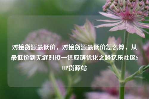 对接货源最低价，对接货源最低价怎么算	，从最低价到无缝对接—供应链优化之路亿乐社区SUP货源站  第1张