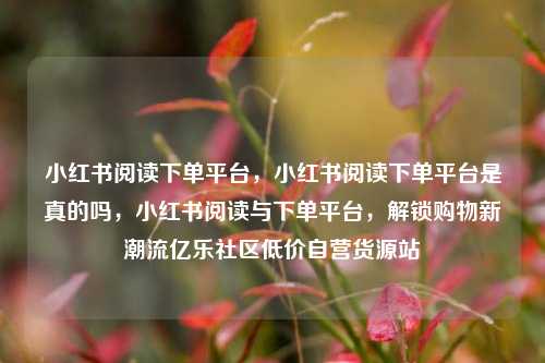 小红书阅读下单平台	，小红书阅读下单平台是真的吗，小红书阅读与下单平台，解锁购物新潮流亿乐社区低价自营货源站  第1张