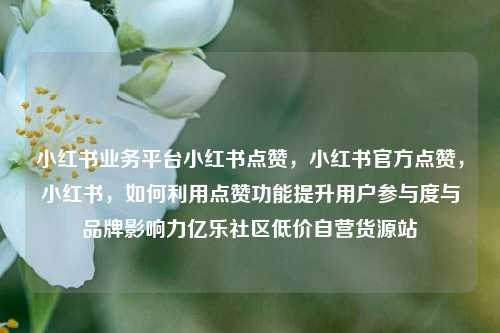 小红书业务平台小红书点赞，小红书官方点赞	，小红书，如何利用点赞功能提升用户参与度与品牌影响力亿乐社区低价自营货源站  第1张