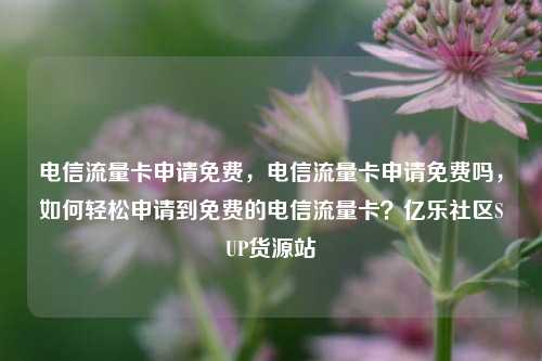 电信流量卡申请免费，电信流量卡申请免费吗	，如何轻松申请到免费的电信流量卡？亿乐社区SUP货源站  第1张
