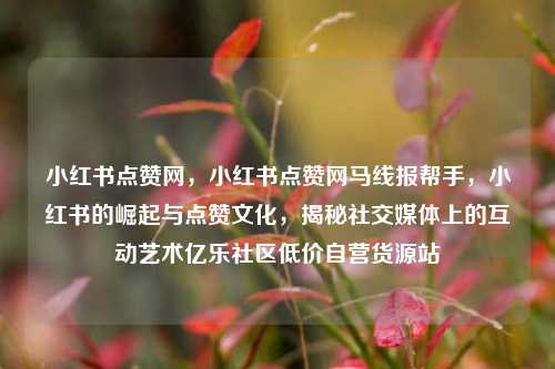 小红书点赞网，小红书点赞网马线报帮手，小红书的崛起与点赞文化	，揭秘社交媒体上的互动艺术亿乐社区低价自营货源站  第1张