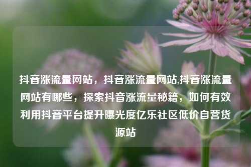 抖音涨流量网站，抖音涨流量网站,抖音涨流量网站有哪些	，探索抖音涨流量秘籍，如何有效利用抖音平台提升曝光度亿乐社区低价自营货源站  第1张