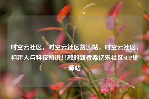 时空云社区	，时空云社区货源站，时空云社区，构建人与科技和谐共融的新桥梁亿乐社区SUP货源站  第1张