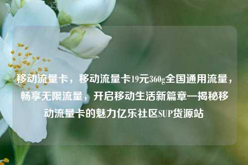 移动流量卡，移动流量卡19元360g全国通用流量	，畅享无限流量，开启移动生活新篇章—揭秘移动流量卡的魅力亿乐社区SUP货源站  第1张