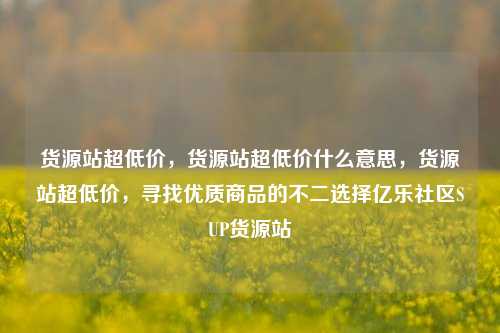 货源站超低价，货源站超低价什么意思，货源站超低价，寻找优质商品的不二选择亿乐社区SUP货源站  第1张