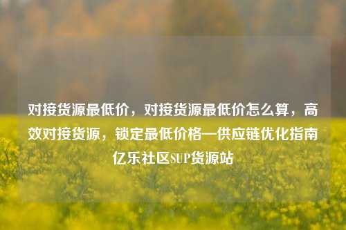 对接货源最低价，对接货源最低价怎么算，高效对接货源	，锁定最低价格—供应链优化指南亿乐社区SUP货源站  第1张
