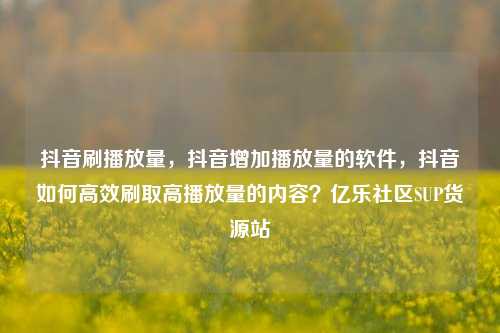 抖音刷播放量	，抖音增加播放量的软件，抖音如何高效刷取高播放量的内容？亿乐社区SUP货源站  第1张