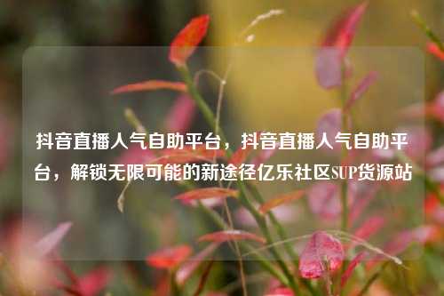 抖音直播人气自助平台	，抖音直播人气自助平台，解锁无限可能的新途径亿乐社区SUP货源站  第1张