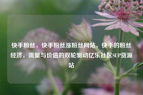 快手粉丝，快手粉丝涨粉丝网站，快手的粉丝经济	，流量与价值的双轮驱动亿乐社区SUP货源站  第1张