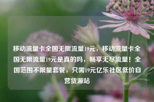 移动流量卡全国无限流量19元，移动流量卡全国无限流量19元是真的吗，畅享无尽流量！全国范围不限量套餐	，只需19元亿乐社区低价自营货源站  第1张