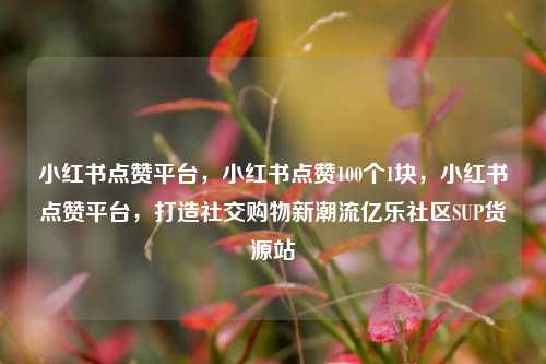 小红书点赞平台	，小红书点赞100个1块，小红书点赞平台，打造社交购物新潮流亿乐社区SUP货源站  第1张
