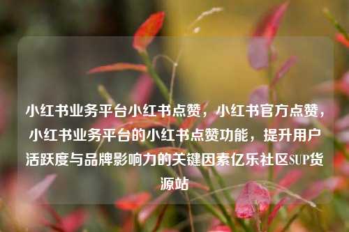 小红书业务平台小红书点赞	，小红书官方点赞，小红书业务平台的小红书点赞功能，提升用户活跃度与品牌影响力的关键因素亿乐社区SUP货源站  第1张