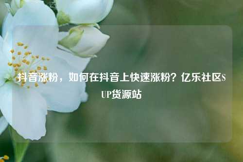 抖音涨粉，如何在抖音上快速涨粉？亿乐社区SUP货源站  第1张