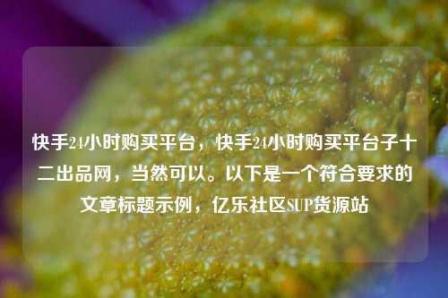 快手24小时购买平台	，快手24小时购买平台子十二出品网，当然可以	。以下是一个符合要求的文章标题示例，亿乐社区SUP货源站  第1张