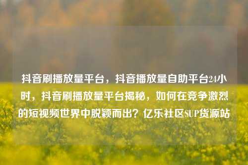 抖音刷播放量平台，抖音播放量自助平台24小时，抖音刷播放量平台揭秘	，如何在竞争激烈的短视频世界中脱颖而出？亿乐社区SUP货源站  第1张
