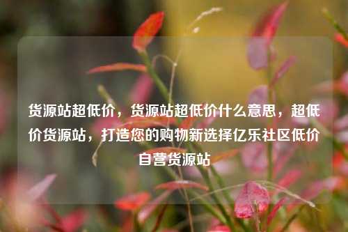 货源站超低价	，货源站超低价什么意思，超低价货源站，打造您的购物新选择亿乐社区低价自营货源站  第1张
