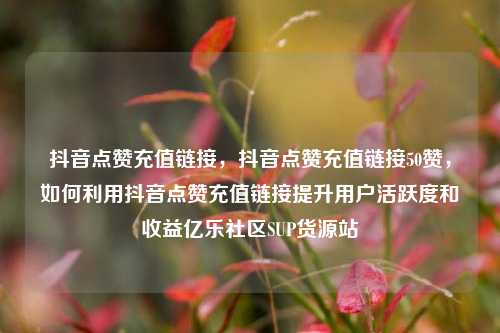 抖音点赞充值链接，抖音点赞充值链接50赞，如何利用抖音点赞充值链接提升用户活跃度和收益亿乐社区SUP货源站  第1张