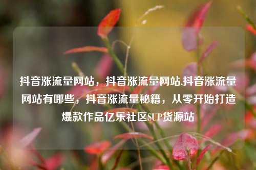 抖音涨流量网站	，抖音涨流量网站,抖音涨流量网站有哪些，抖音涨流量秘籍，从零开始打造爆款作品亿乐社区SUP货源站  第1张