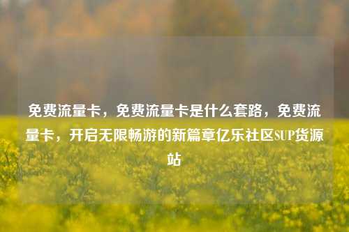 免费流量卡	，免费流量卡是什么套路，免费流量卡，开启无限畅游的新篇章亿乐社区SUP货源站  第1张