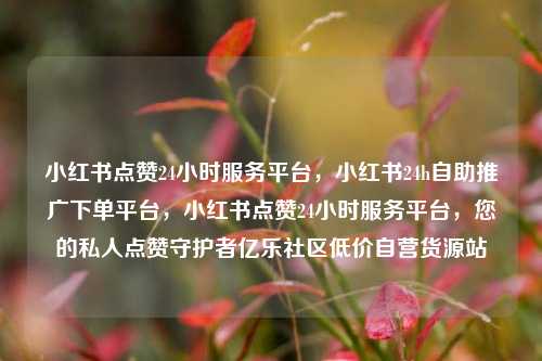 小红书点赞24小时服务平台，小红书24h自助推广下单平台，小红书点赞24小时服务平台，您的私人点赞守护者亿乐社区低价自营货源站  第1张