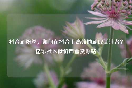抖音刷粉丝	，如何在抖音上高效地刷取关注者？亿乐社区低价自营货源站  第1张