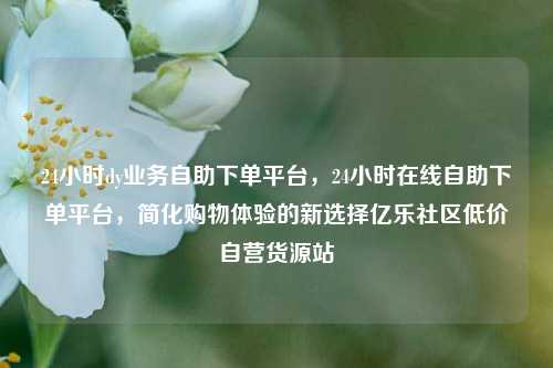 24小时dy业务自助下单平台	，24小时在线自助下单平台，简化购物体验的新选择亿乐社区低价自营货源站  第1张