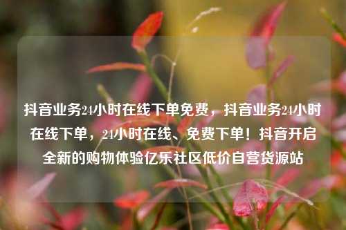 抖音业务24小时在线下单免费，抖音业务24小时在线下单	，24小时在线、免费下单！抖音开启全新的购物体验亿乐社区低价自营货源站  第1张