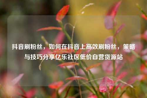 抖音刷粉丝，如何在抖音上高效刷粉丝	，策略与技巧分享亿乐社区低价自营货源站  第1张