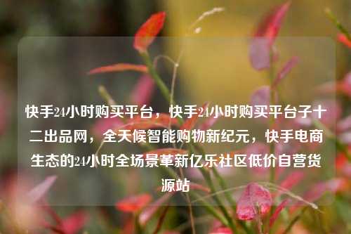 快手24小时购买平台	，快手24小时购买平台子十二出品网，全天候智能购物新纪元，快手电商生态的24小时全场景革新亿乐社区低价自营货源站  第1张