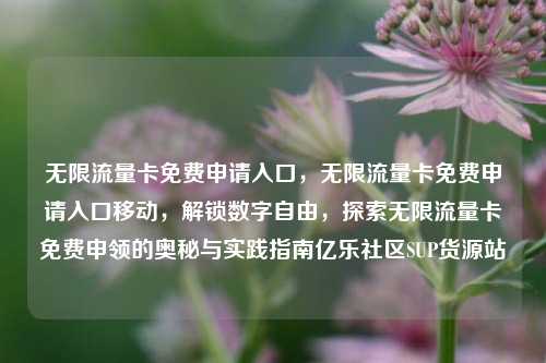 无限流量卡免费申请入口	，无限流量卡免费申请入口移动，解锁数字自由，探索无限流量卡免费申领的奥秘与实践指南亿乐社区SUP货源站  第1张