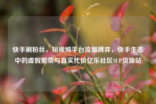 快手刷粉丝，短视频平台流量博弈	，快手生态中的虚假繁荣与真实代价亿乐社区SUP货源站  第1张