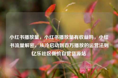 小红书播放量，小红书播放量有收益吗	，小红书流量解密，从冷启动到百万播放的运营法则亿乐社区低价自营货源站  第1张