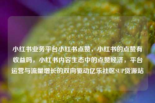 小红书业务平台小红书点赞，小红书的点赞有收益吗，小红书内容生态中的点赞经济	，平台运营与流量增长的双向驱动亿乐社区SUP货源站  第1张