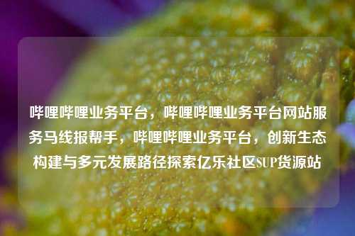 哔哩哔哩业务平台，哔哩哔哩业务平台网站服务马线报帮手，哔哩哔哩业务平台	，创新生态构建与多元发展路径探索亿乐社区SUP货源站  第1张