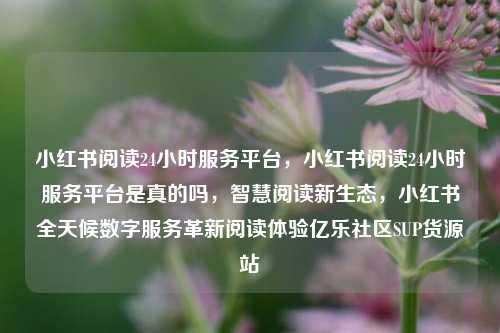 小红书阅读24小时服务平台	，小红书阅读24小时服务平台是真的吗，智慧阅读新生态，小红书全天候数字服务革新阅读体验亿乐社区SUP货源站  第1张