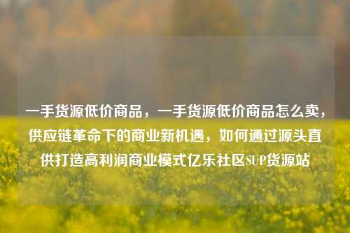 一手货源低价商品，一手货源低价商品怎么卖，供应链革命下的商业新机遇	，如何通过源头直供打造高利润商业模式亿乐社区SUP货源站  第1张
