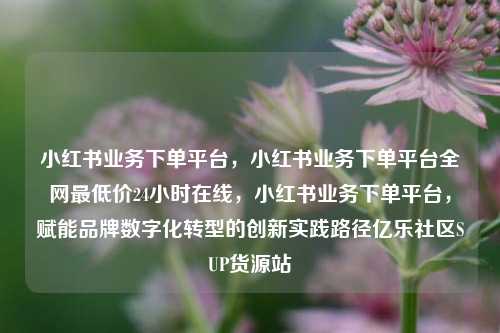 小红书业务下单平台，小红书业务下单平台全网最低价24小时在线，小红书业务下单平台	，赋能品牌数字化转型的创新实践路径亿乐社区SUP货源站  第1张