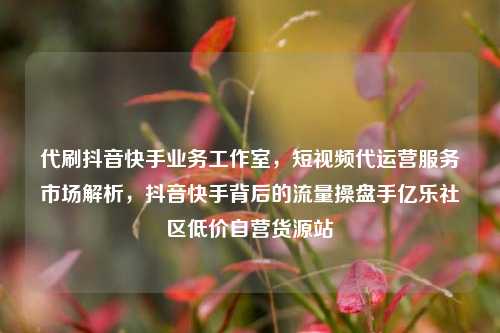 代刷抖音快手业务工作室，短视频代运营服务市场解析，抖音快手背后的流量操盘手亿乐社区低价自营货源站  第1张