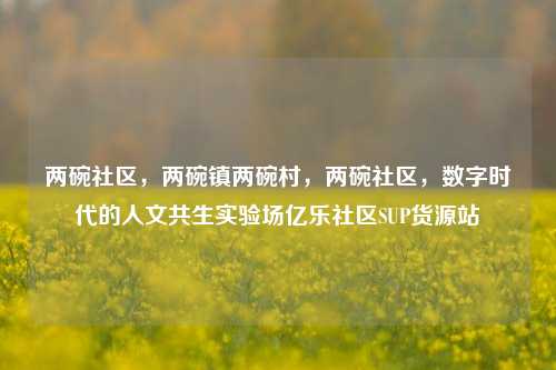 两碗社区	，两碗镇两碗村，两碗社区，数字时代的人文共生实验场亿乐社区SUP货源站  第1张