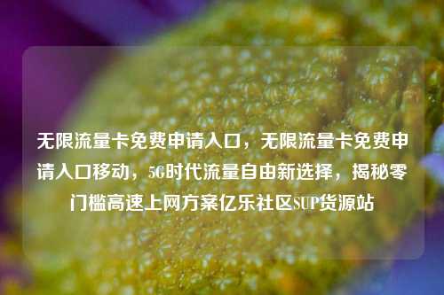 无限流量卡免费申请入口，无限流量卡免费申请入口移动	，5G时代流量自由新选择，揭秘零门槛高速上网方案亿乐社区SUP货源站  第1张