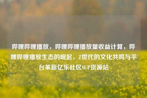 哔哩哔哩播放	，哔哩哔哩播放量收益计算，哔哩哔哩播放生态的崛起，Z世代的文化共鸣与平台革新亿乐社区SUP货源站  第1张