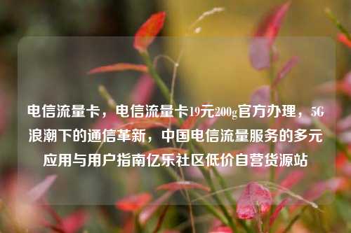 电信流量卡	，电信流量卡19元200g官方办理，5G浪潮下的通信革新，中国电信流量服务的多元应用与用户指南亿乐社区低价自营货源站  第1张