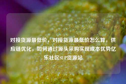 对接货源最低价	，对接货源最低价怎么算，供应链优化，如何通过源头采购实现成本优势亿乐社区SUP货源站  第1张