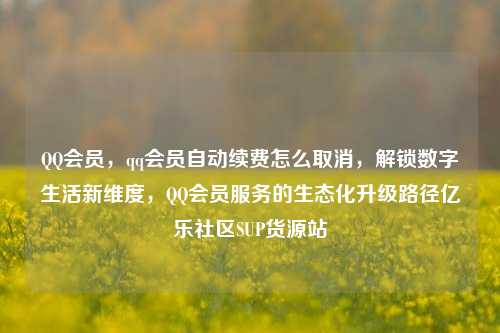 QQ会员，qq会员自动续费怎么取消，解锁数字生活新维度，QQ会员服务的生态化升级路径亿乐社区SUP货源站  第1张