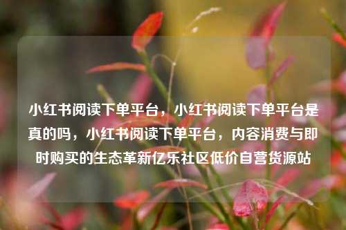 小红书阅读下单平台	，小红书阅读下单平台是真的吗，小红书阅读下单平台，内容消费与即时购买的生态革新亿乐社区低价自营货源站  第1张